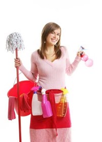 Cleaning Fairy Cleaning Services 359660 Image 3